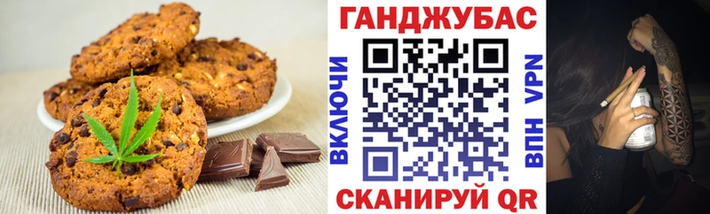 магазин продажи наркотиков  сайты даркнета телеграм  OMG как войти  Cannafood марихуана  Елизаветинская 