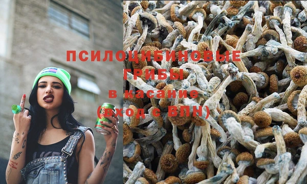 мяу мяу мука Абинск