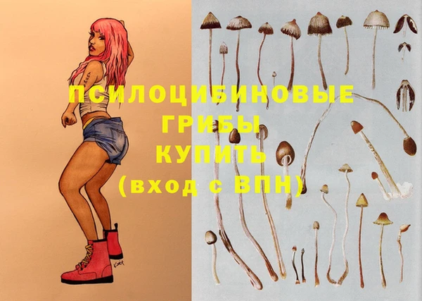 мяу мяу мука Абинск