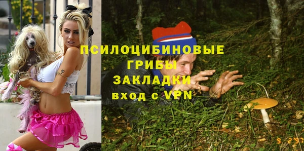 дмт Алзамай